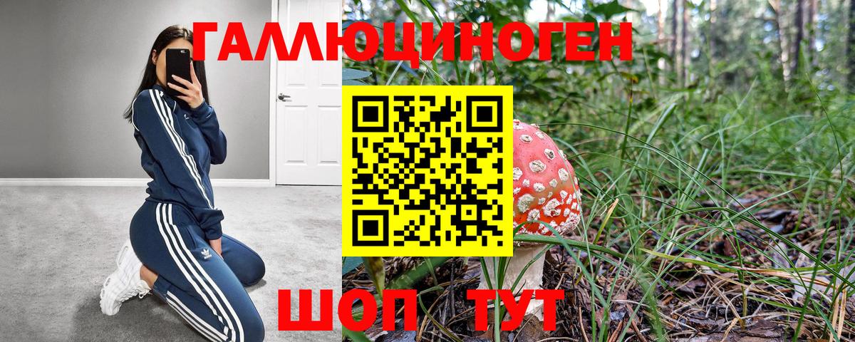 Псилоцибиновые грибы Psilocybine cubensis  Галлюциногенные грибы прущие грибы  Вход с VPN  Майкоп 