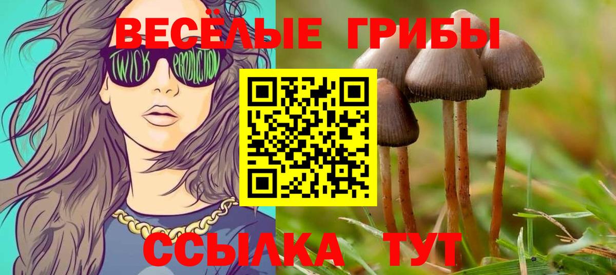 Псилоцибиновые грибы GOLDEN TEACHER Майкоп
